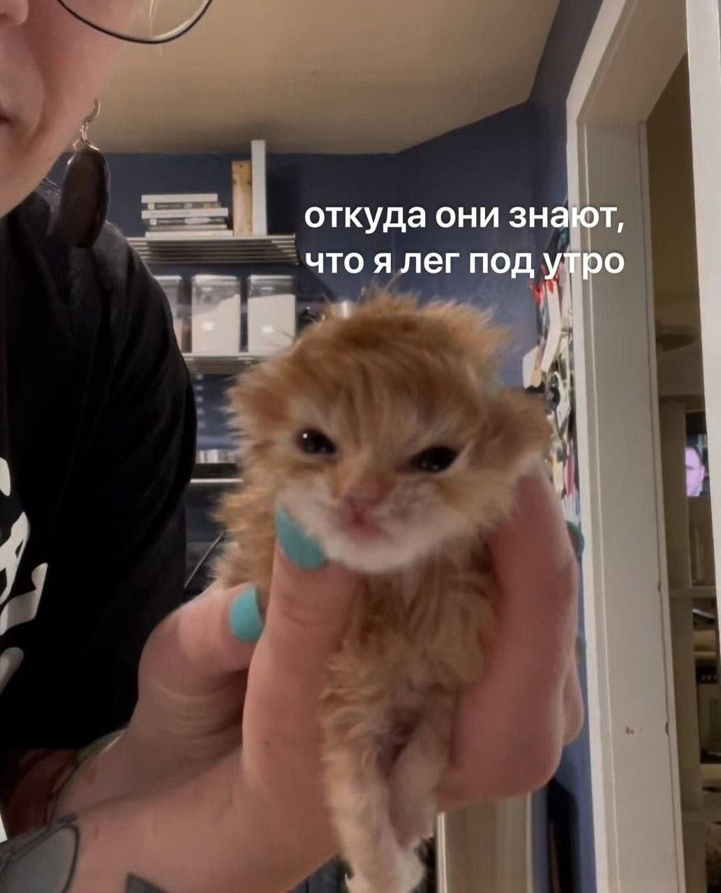 1764431808831.png