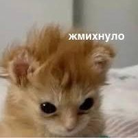 1764431850262.png