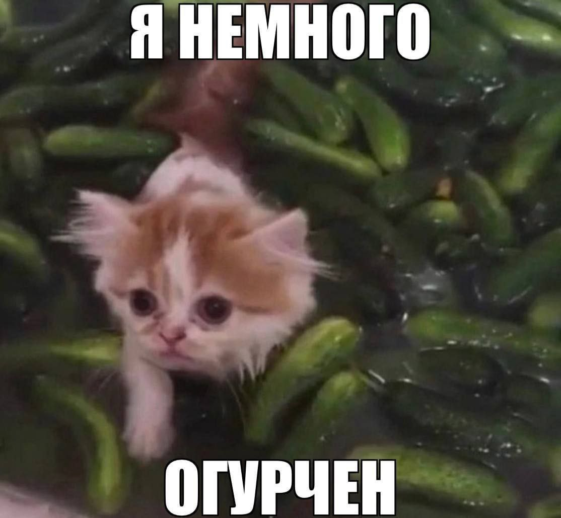 1764434139297.png