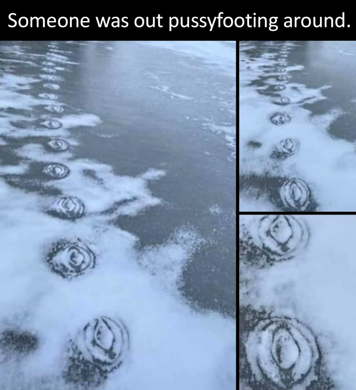 1764597545287.png