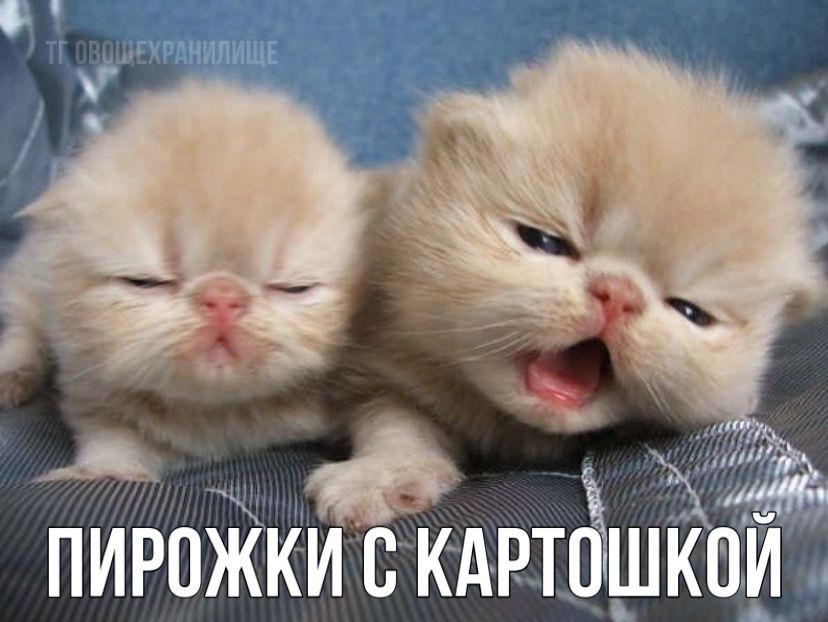 1765176938647.png