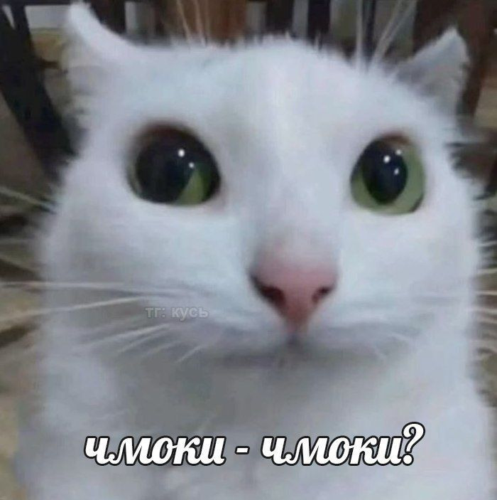 1765178870451.png