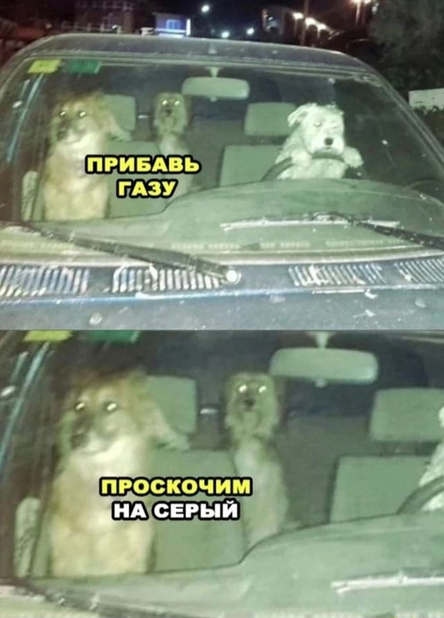1765203160242.png