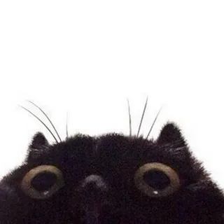 1765205050950.png