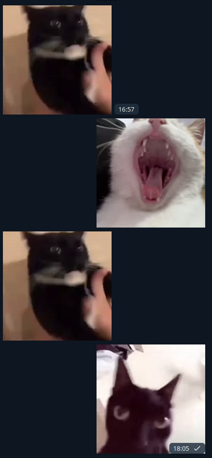 1765278462882.png