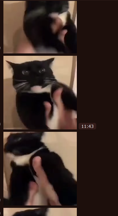 1765278682662.png