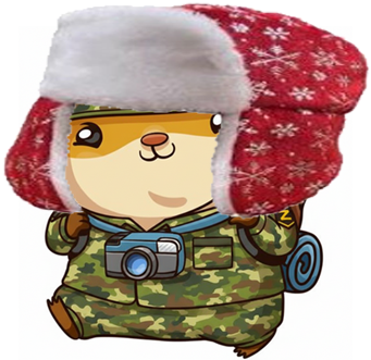 1765360846599.png