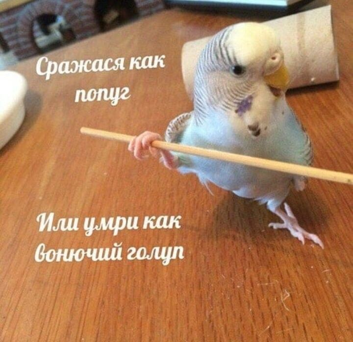 1765431053836.png