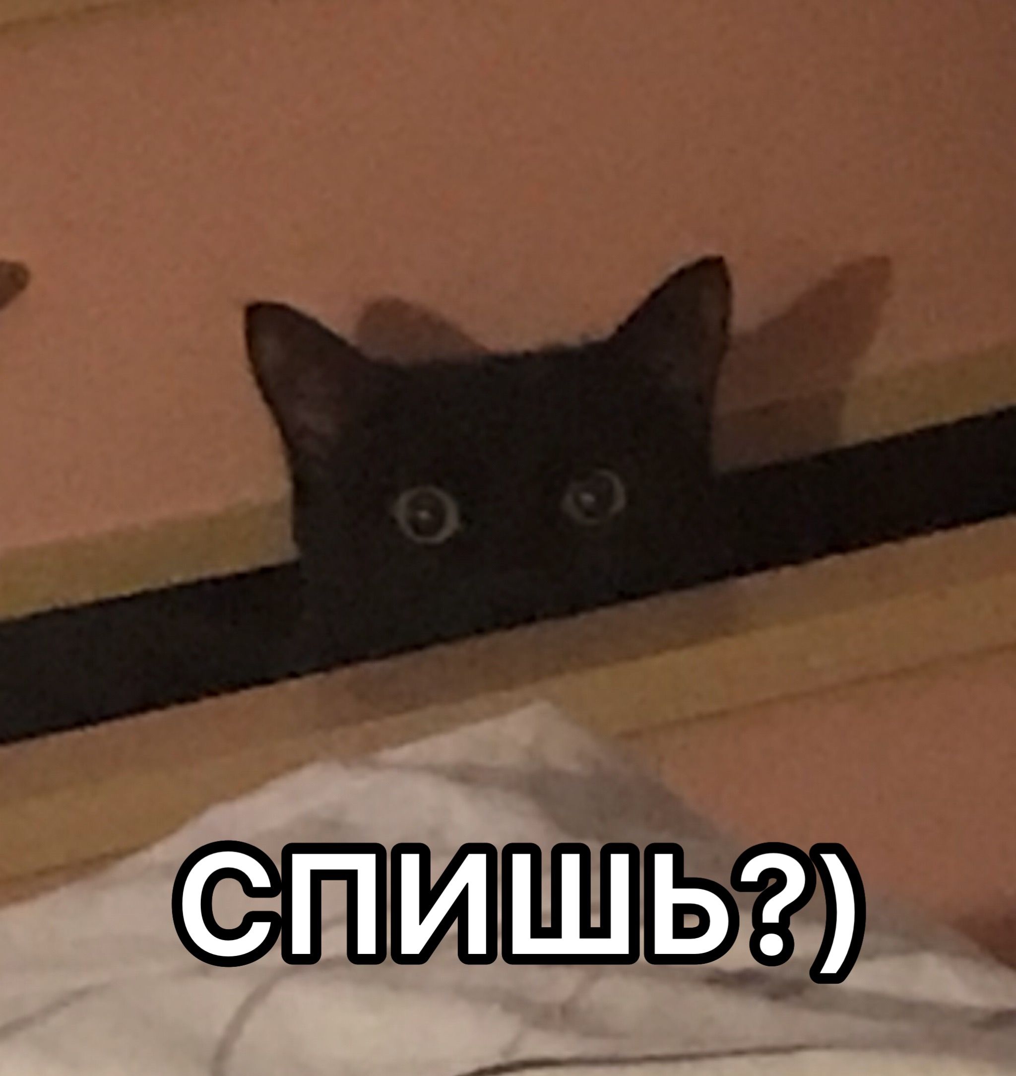 1765655026620.jpeg