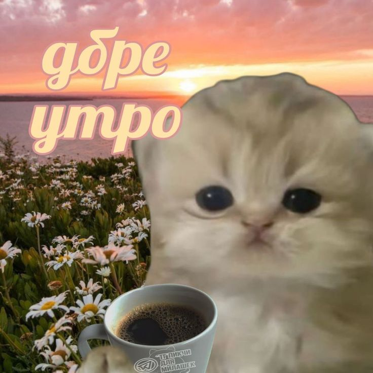1765694052899.png