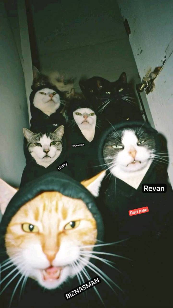 1765813630551.png