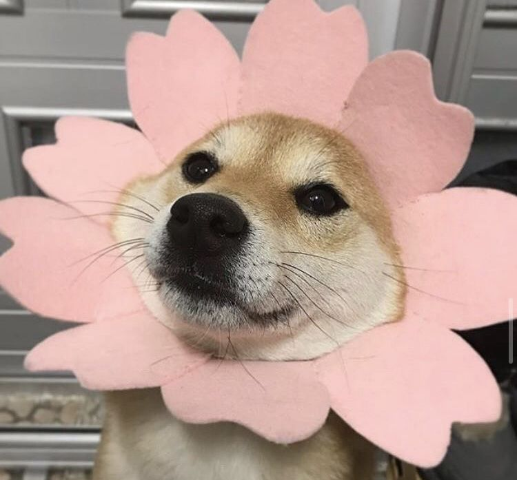 1765827532360.png