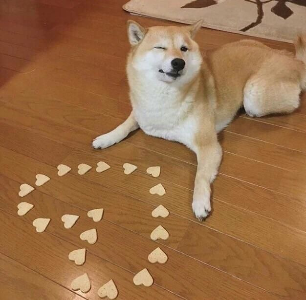 1765827866242.png