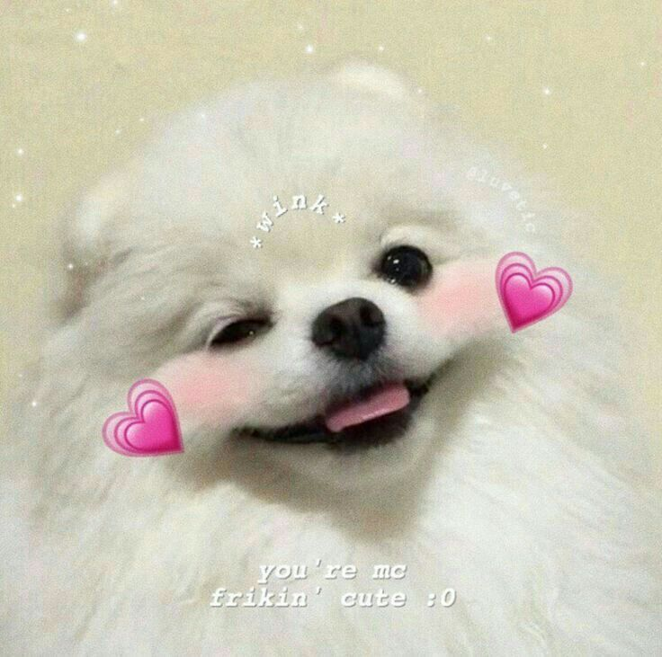 1765828107760.png