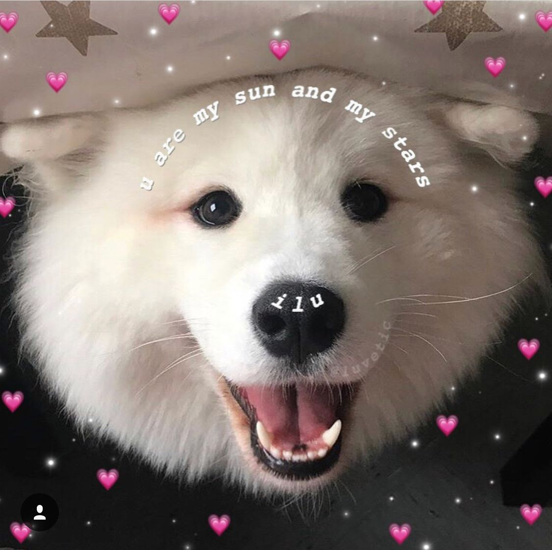 1765828273505.png