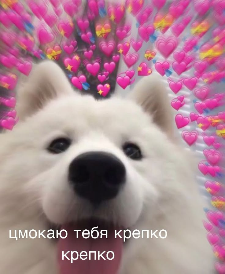 1765828614741.png