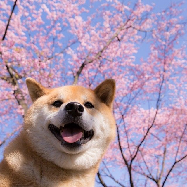 1765828769246.png