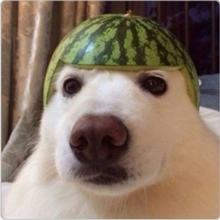 1765828806273.png