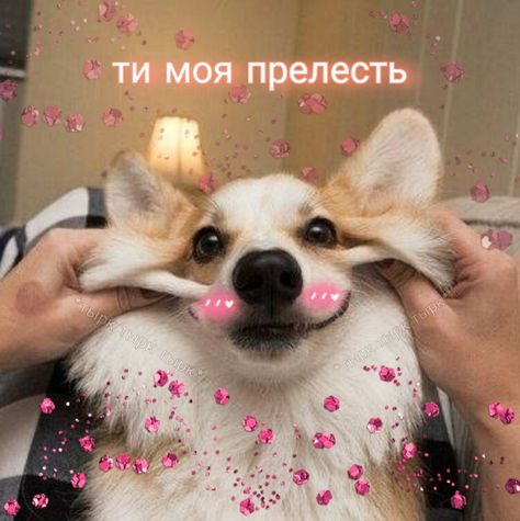 1765828968766.png