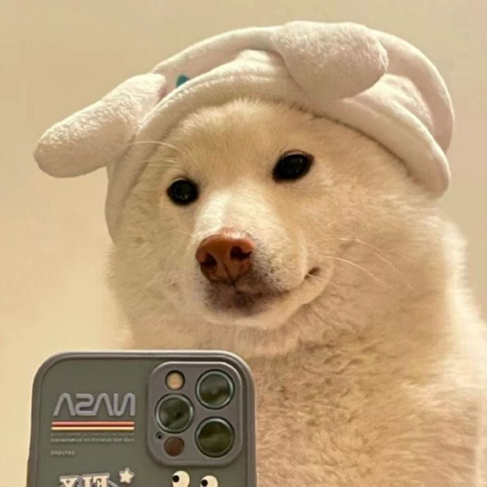 1765829265414.png