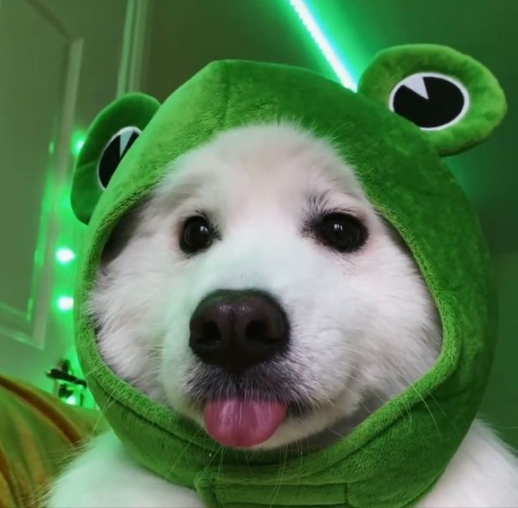 1765829534587.png