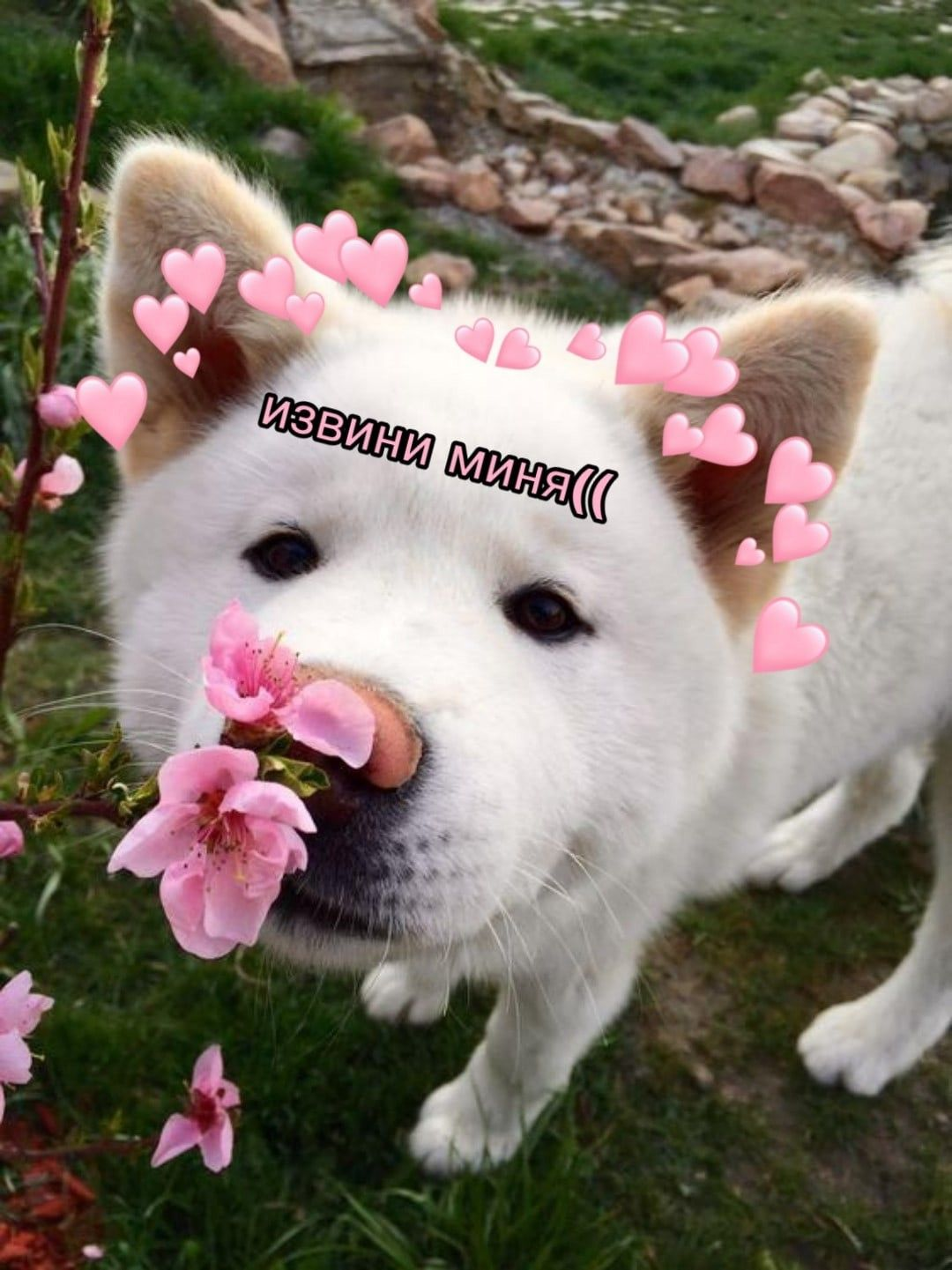 1765829572222.png