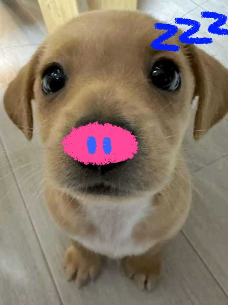 1765829635628.png
