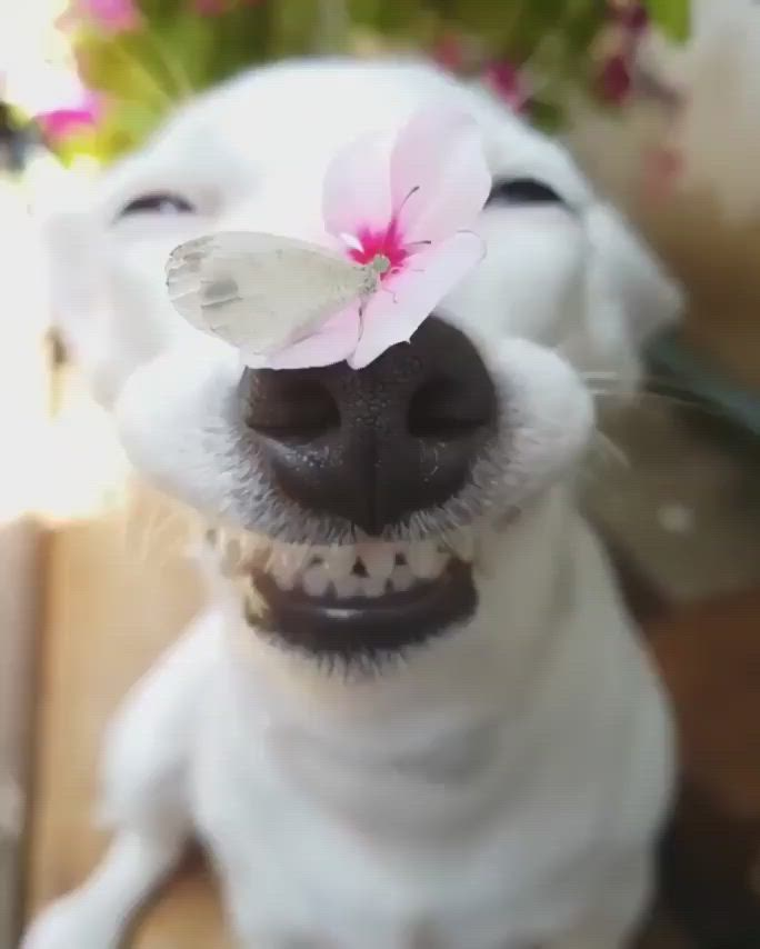 1765829714066.png