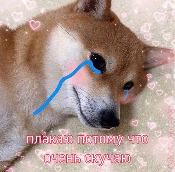 1765829873347.png