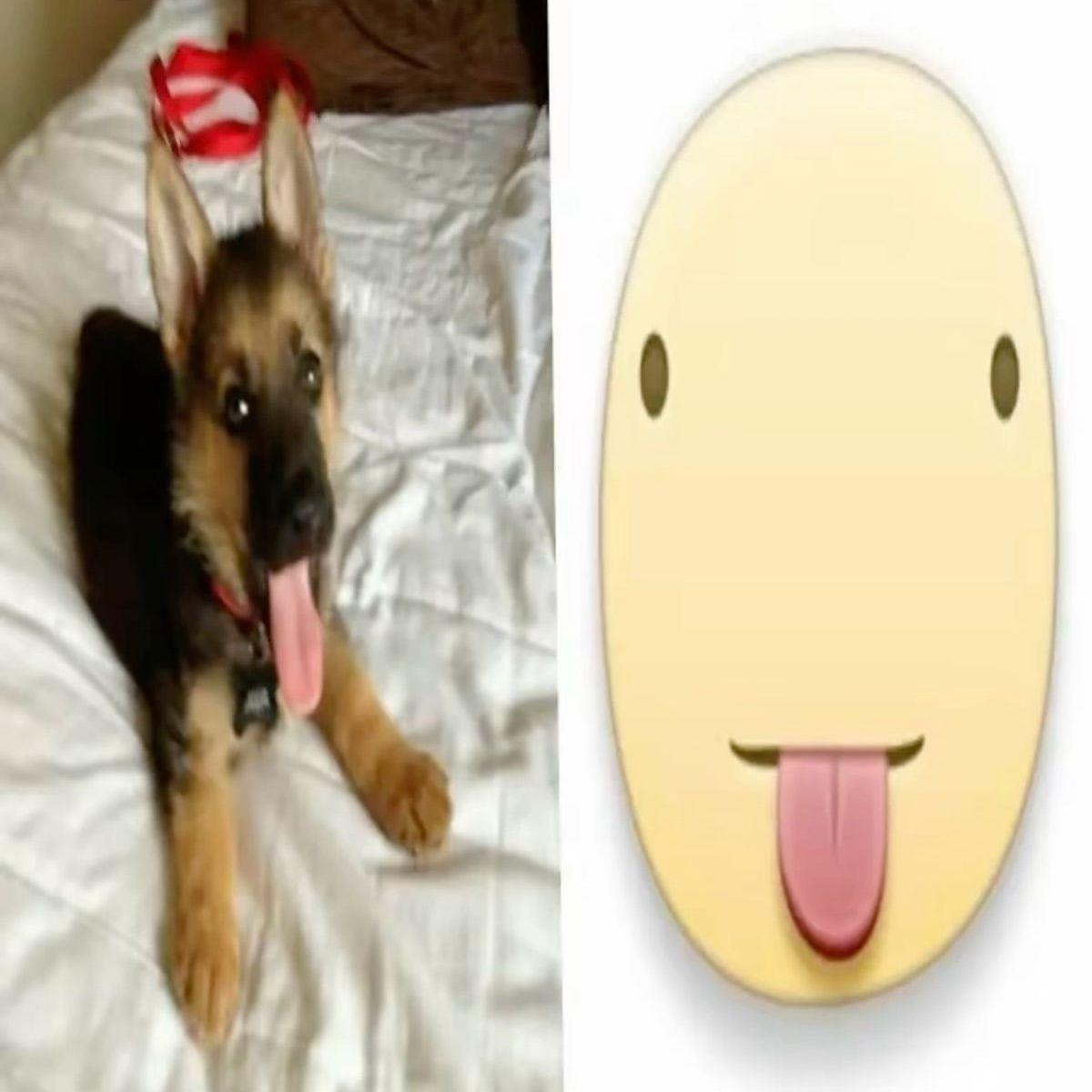1765830298832.png