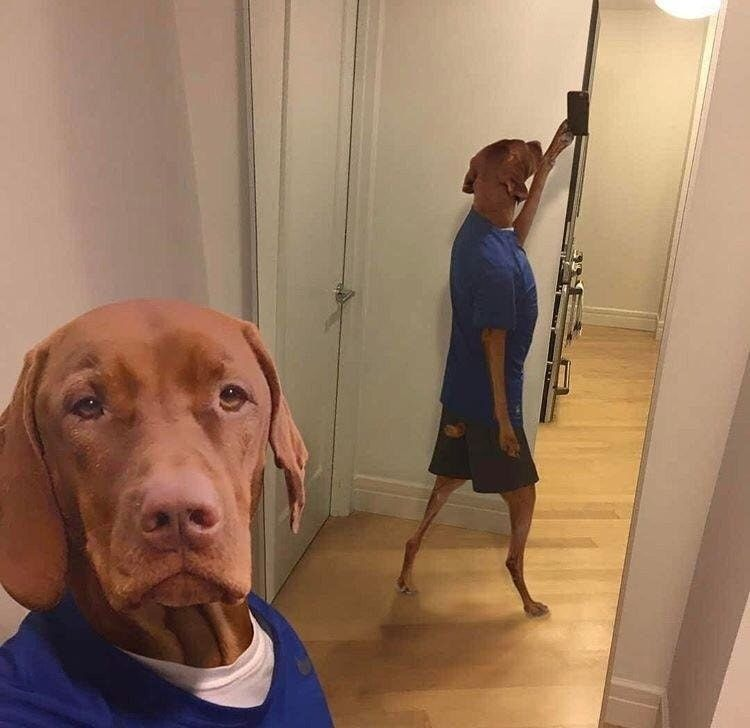 1765830439077.png