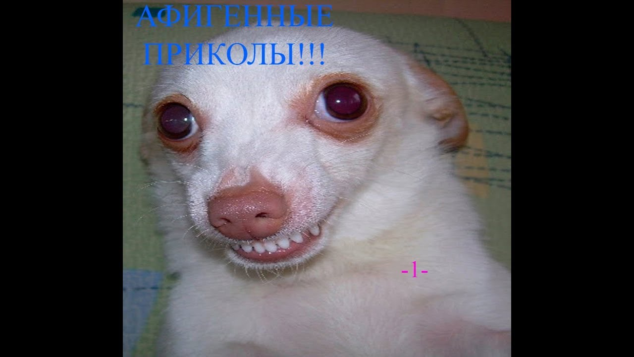 1765830648107.png