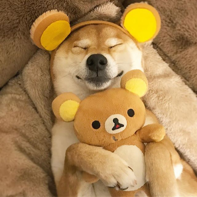 1765830750745.png