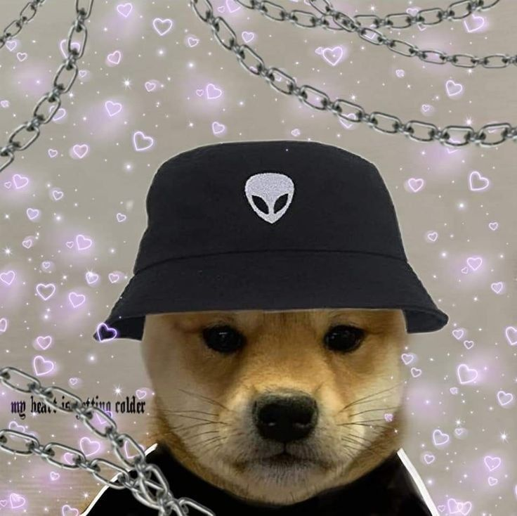 1765830893324.png
