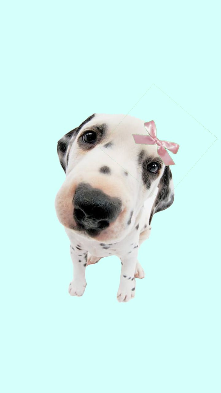 1765831014923.png