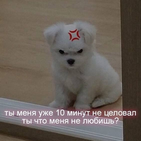 1765831121355.png