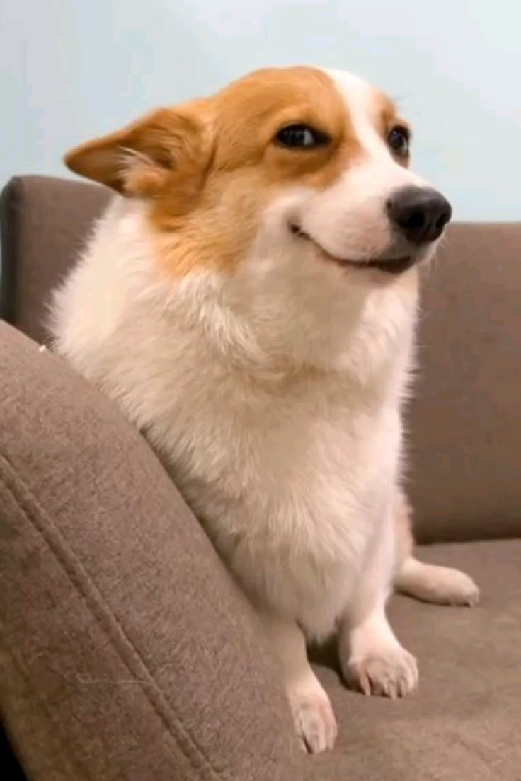 1765831299247.png