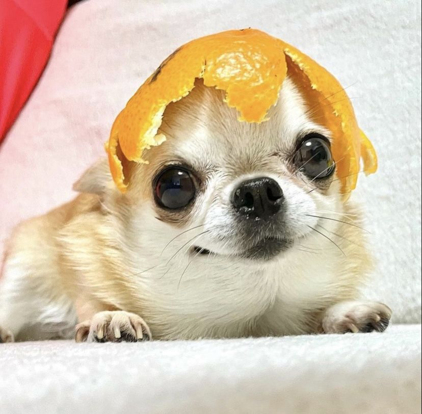 1765831331237.png