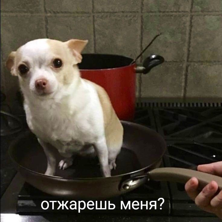 1765831370558.png