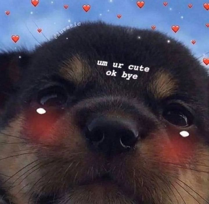 1765831669036.png