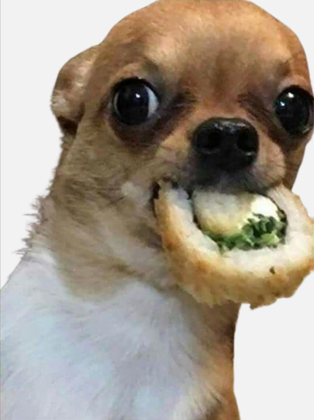 1765832162994.png