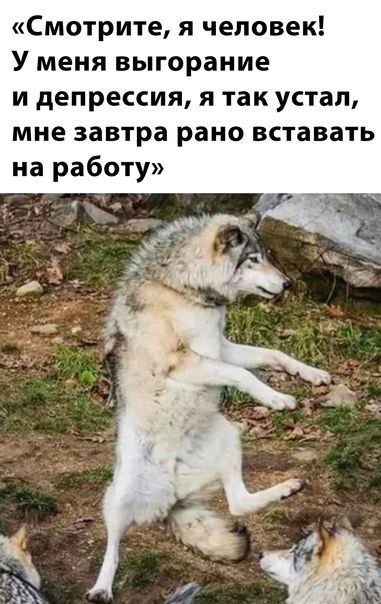 1765986790798.png