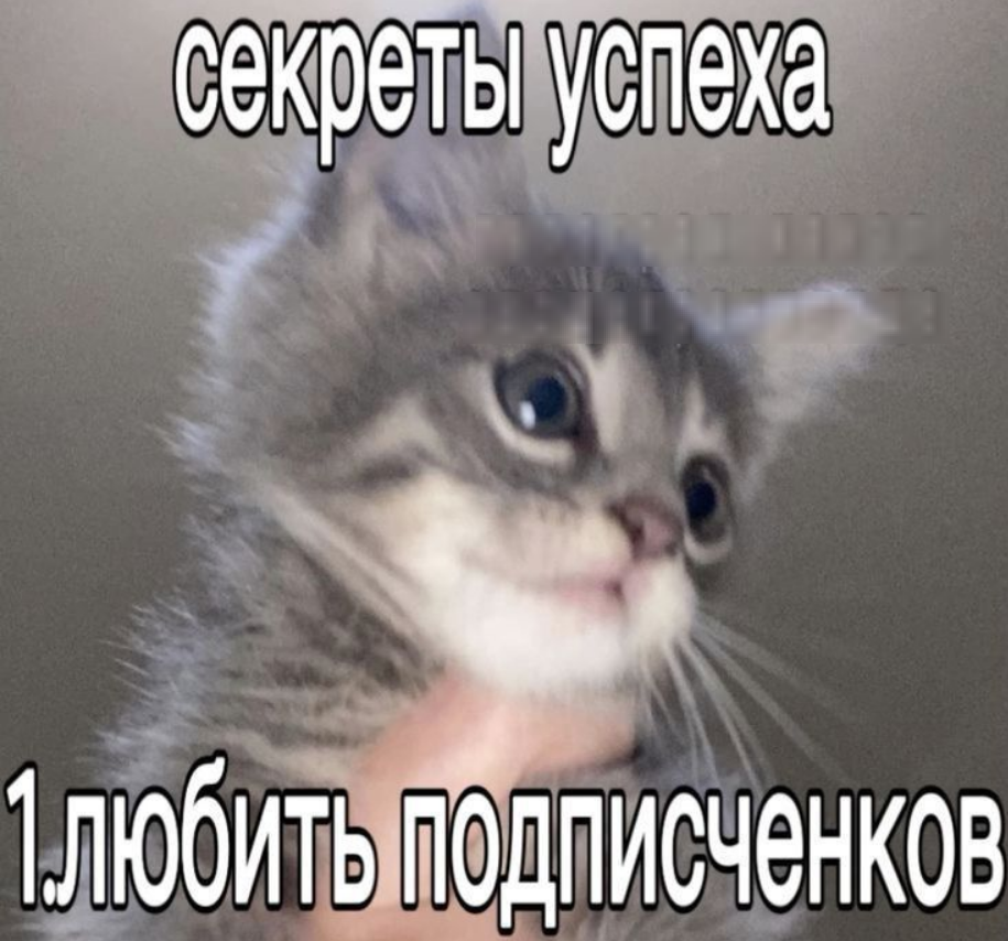 1766246494360.png