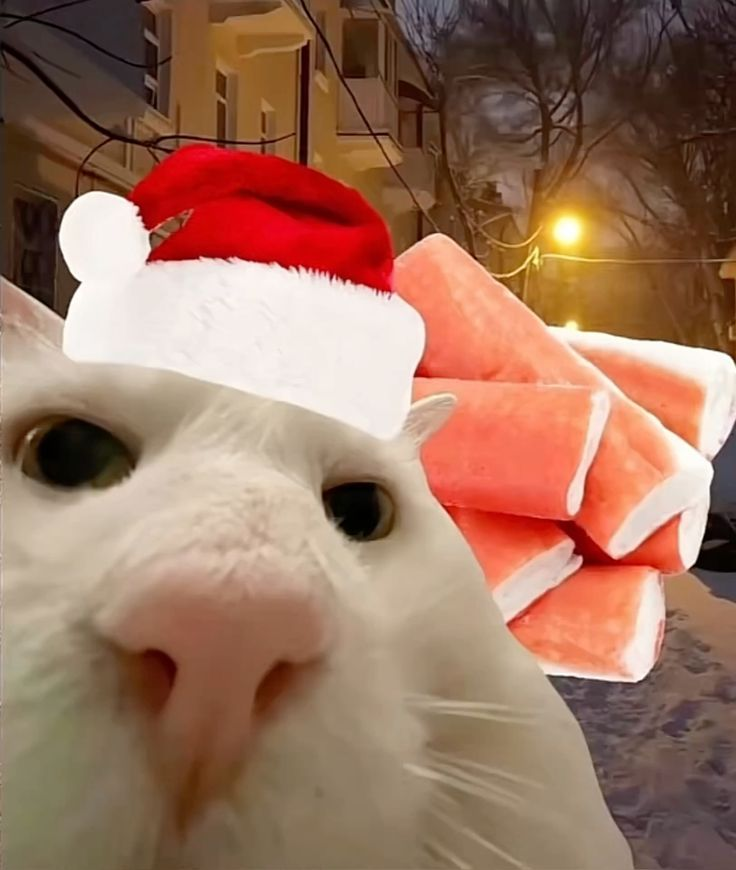 1766259244068.png