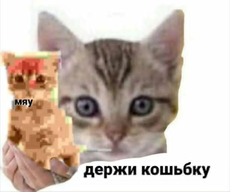 1766474943732.png