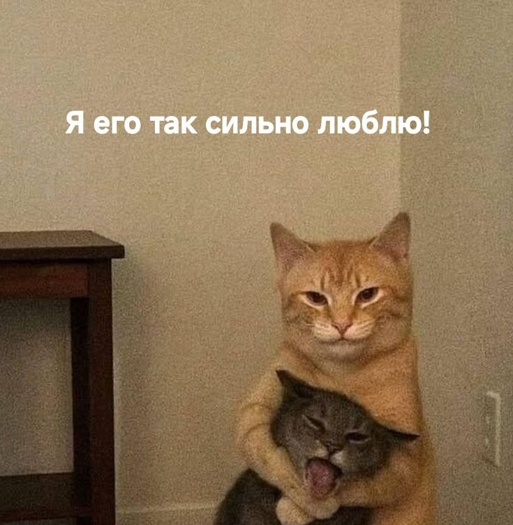 1766485837747.png