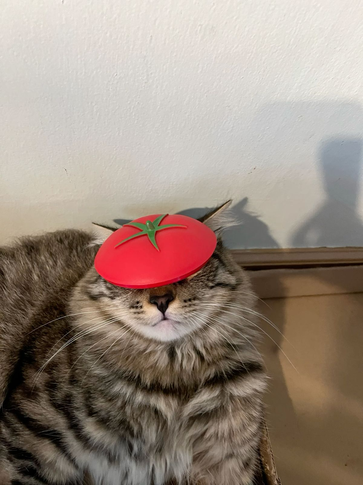 1766487768093.png