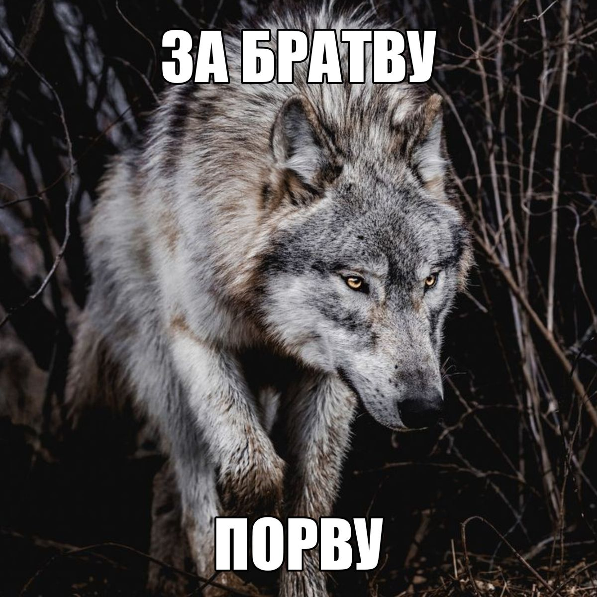 1766560011879.png