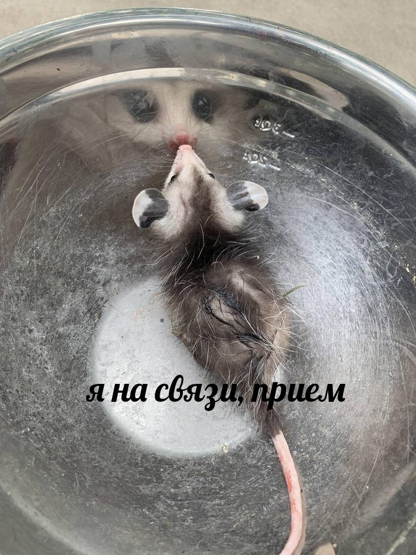 1766669405369.png