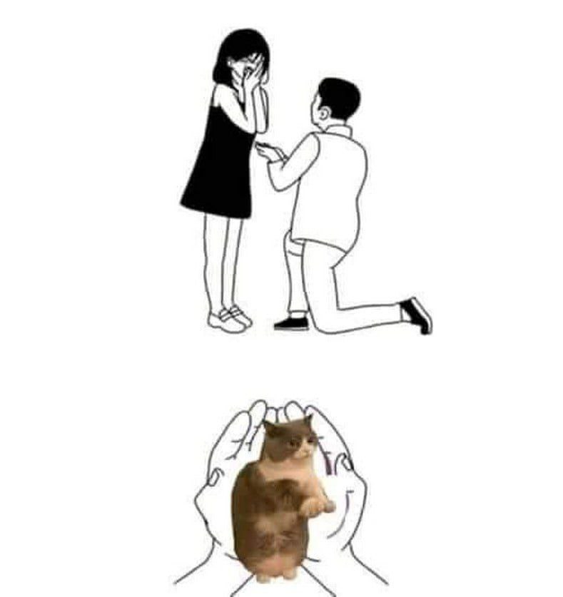 1766673028302.png